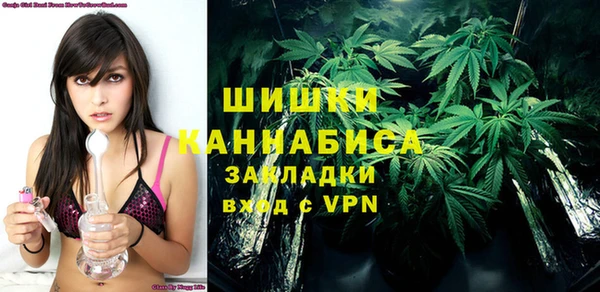 шишки Алзамай