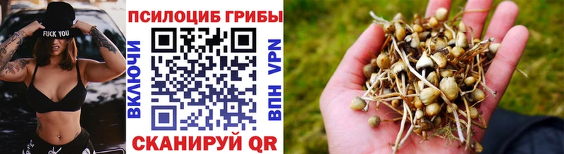 Галлюциногенные грибы Psilocybe  Лагань 